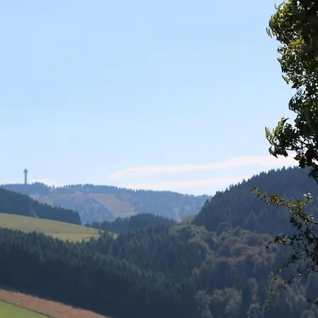 Beautiful In With A Balcony Willingen (Upland)