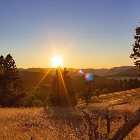 In Nahe Ettelsberg-bahn Appartement Willingen (Upland)