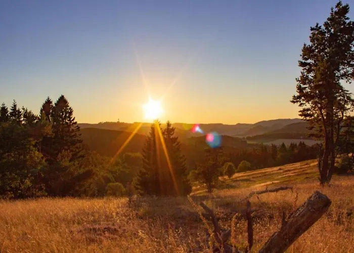 In Nahe Ettelsberg-bahn Apartment Willingen (Upland)